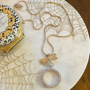 Gold and silver Dragonfly magnifying glass Necklace